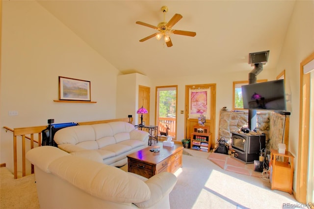 369 Prunes Pl, Fairplay, CO 80440 - photo 29