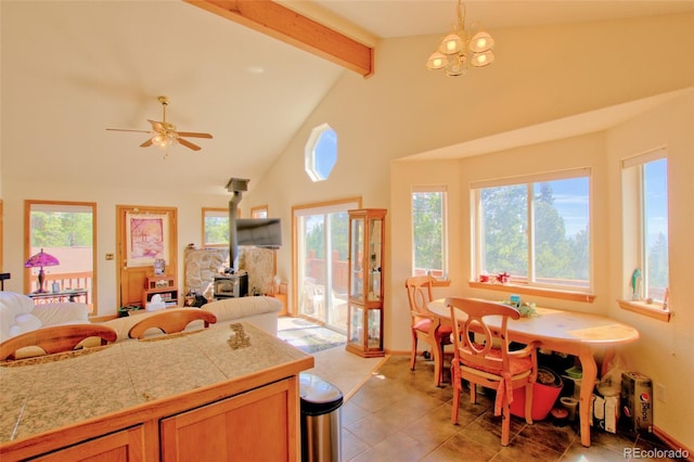369 Prunes Pl, Fairplay, CO 80440 - photo 34