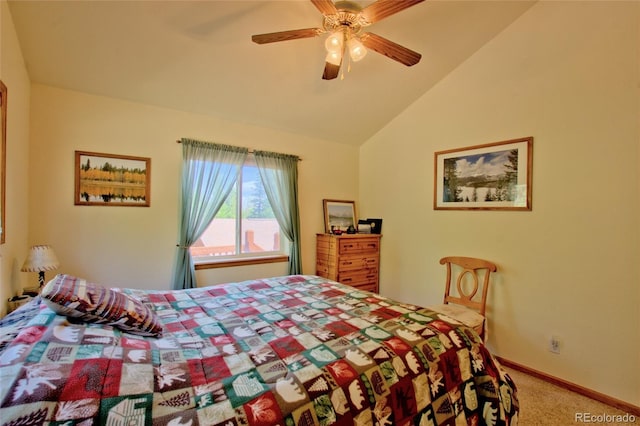 369 Prunes Pl, Fairplay, CO 80440 - photo 36