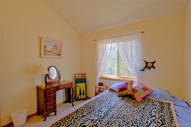 369 Prunes Pl, Fairplay, CO 80440 - photo 37