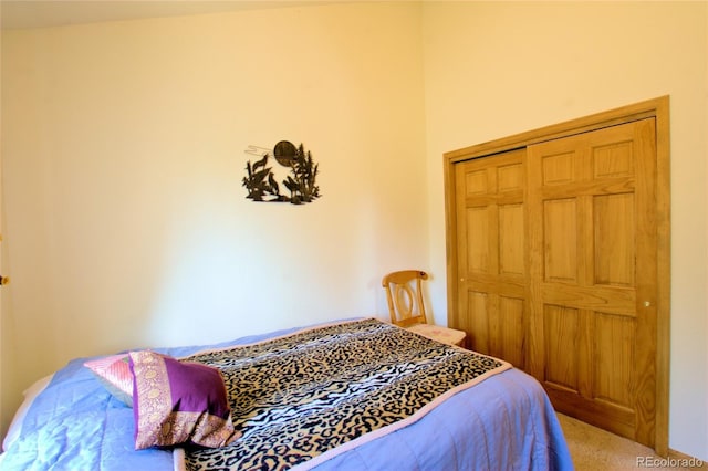 369 Prunes Pl, Fairplay, CO 80440 - photo 38