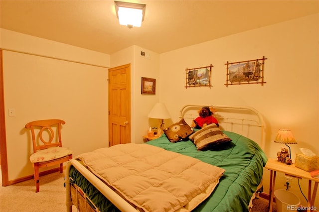 369 Prunes Pl, Fairplay, CO 80440 - photo 39