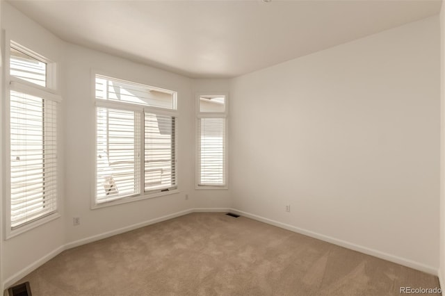 5322 Shetland Ct, Highlands Ranch, CO 80130 - photo 16