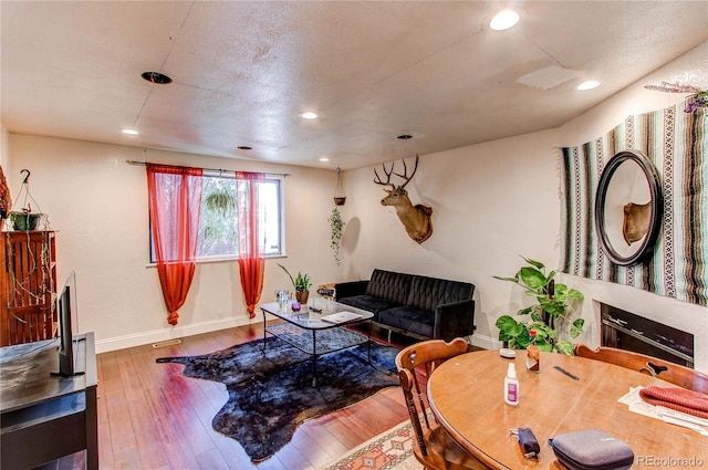 living room with hardwood / wood-style floors