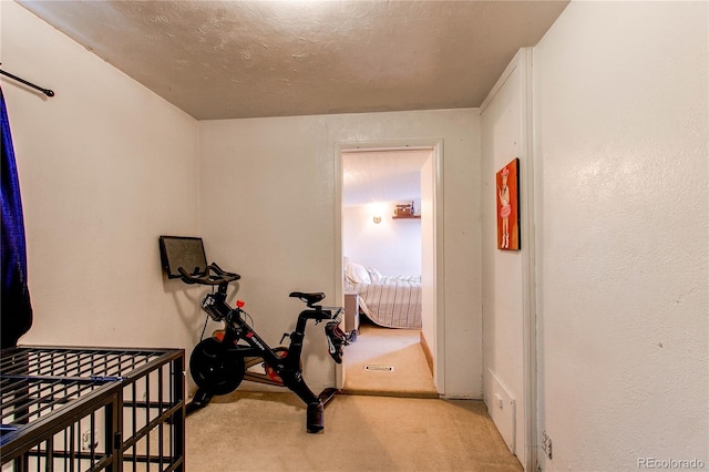 exercise room featuring light carpet and a textured ceiling