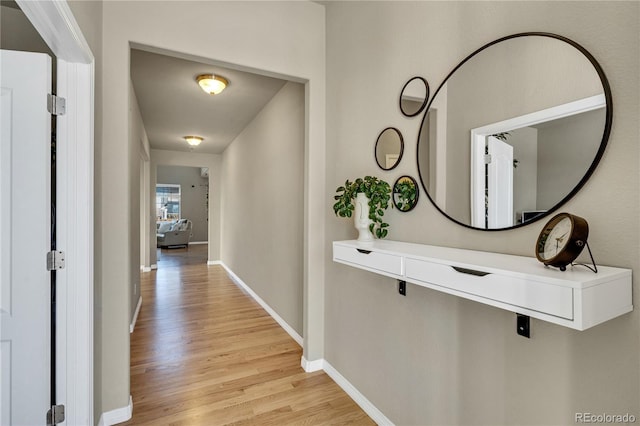 hall featuring light hardwood / wood-style floors