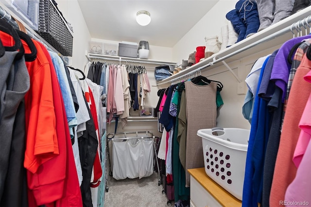 5555 E Briarwood Ave Unit 1404, Centennial, CO 80122 - walk in closet with carpet floors