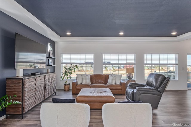 living area with recessed lighting, a tray ceiling, and wood finished floors