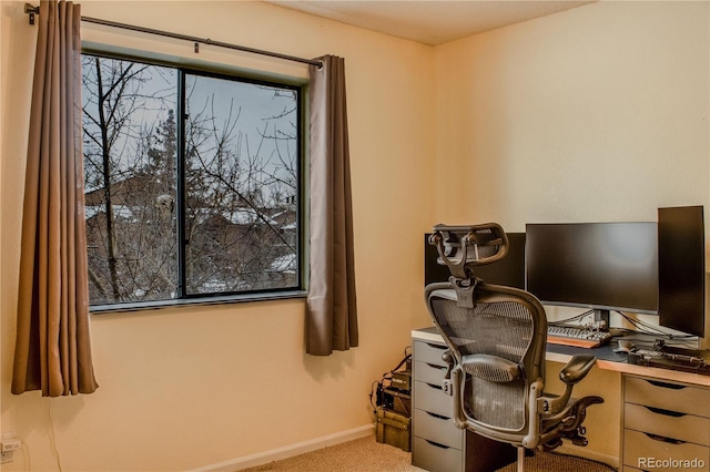 office space with baseboards and carpet floors