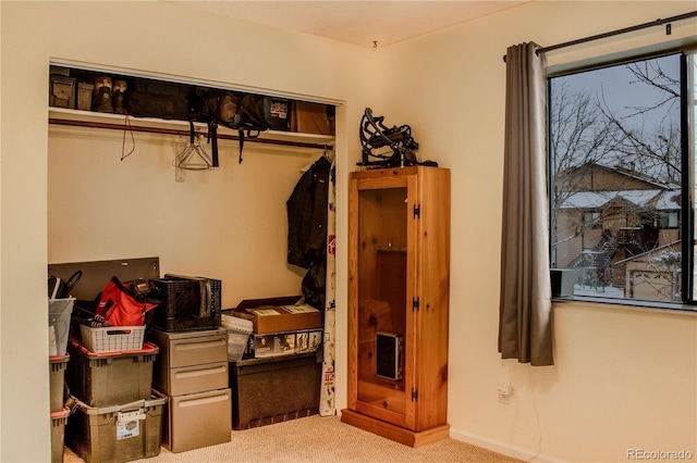 view of closet