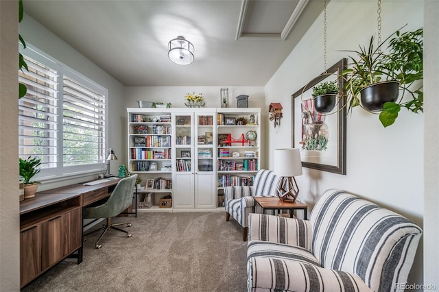 21502 E Idyllwilde Dr, Parker, CO 80138 - office space with carpet