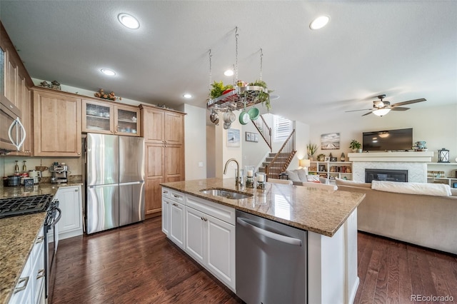 21502 E Idyllwilde Dr, Parker, CO 80138 - kitchen featuring stainless steel appliances, a ceiling fan, light stone countertops, glass insert cabinets, and open floor plan