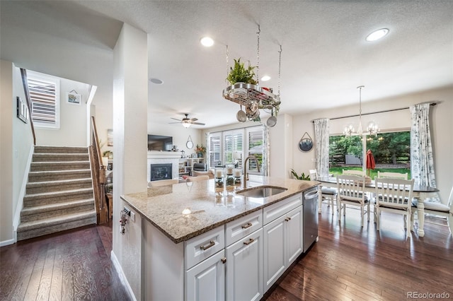 21502 E Idyllwilde Dr, Parker, CO 80138 - kitchen featuring a glass covered fireplace, stainless steel dishwasher, light stone counters, open floor plan, and dark wood-style flooring