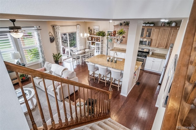 21502 E Idyllwilde Dr, Parker, CO 80138 - kitchen with appliances with stainless steel finishes, dark wood finished floors, a kitchen bar, glass insert cabinets, and an island with sink