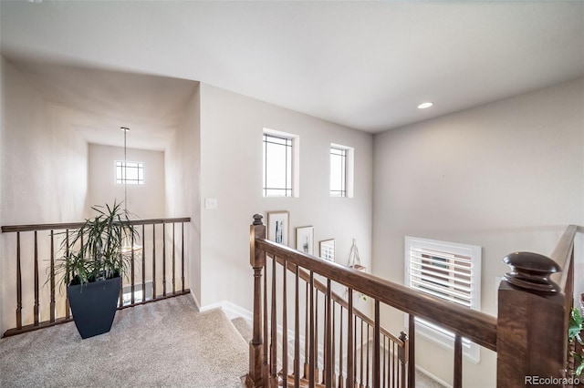 21502 E Idyllwilde Dr, Parker, CO 80138 - hallway featuring an upstairs landing, carpet flooring, and plenty of natural light