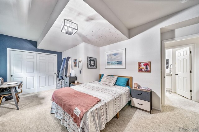 21502 E Idyllwilde Dr, Parker, CO 80138 - bedroom featuring carpet flooring and a closet