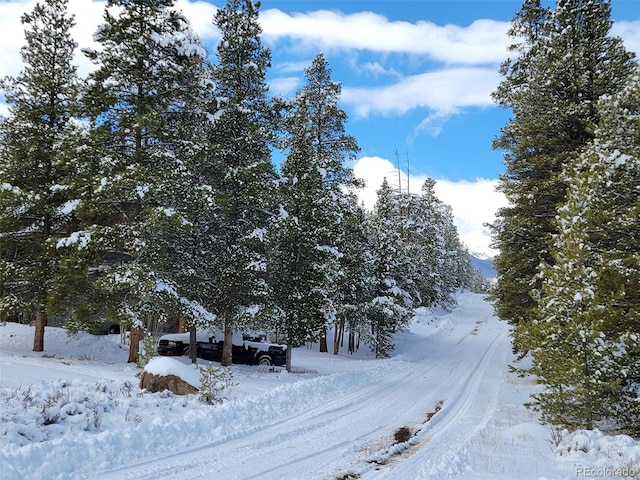 view of snowy view