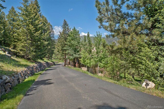 3064 Elk View Dr, Evergreen, CO 80439 - photo 3