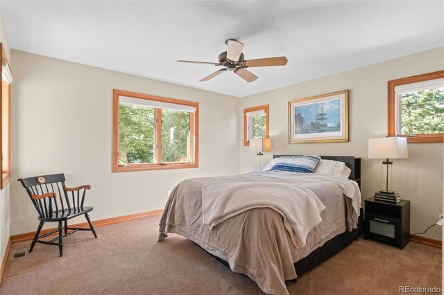 3064 Elk View Dr, Evergreen, CO 80439 - photo 21