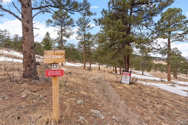 3064 Elk View Dr, Evergreen, CO 80439 - photo 44