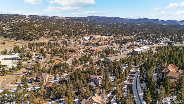 3064 Elk View Dr, Evergreen, CO 80439 - photo 47