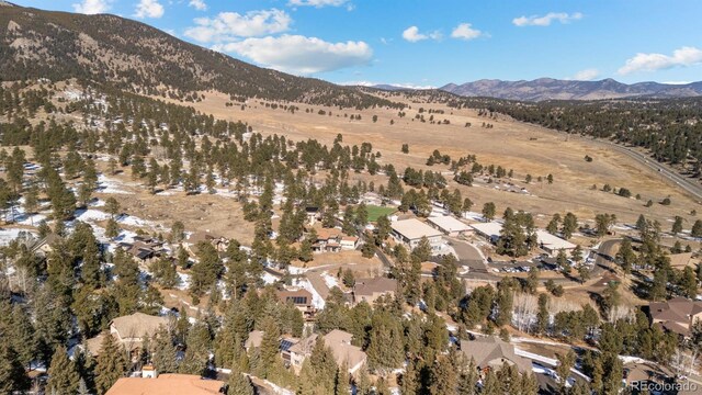 3064 Elk View Dr, Evergreen, CO 80439 - photo 48
