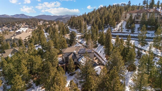 3064 Elk View Dr, Evergreen, CO 80439 - photo 49