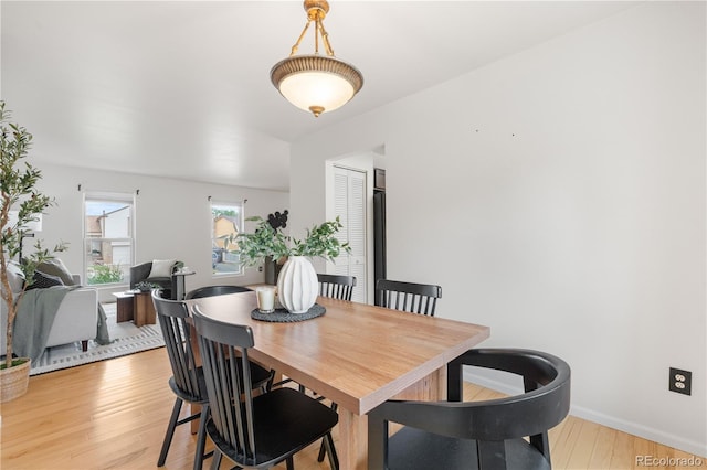 229 Berthoud Way, Golden, CO 80401 - dining room with light wood-style flooring