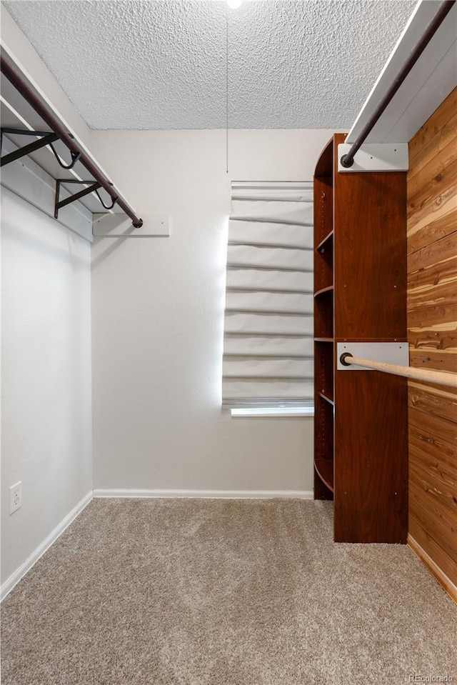 229 Berthoud Way, Golden, CO 80401 - walk in closet with carpet flooring