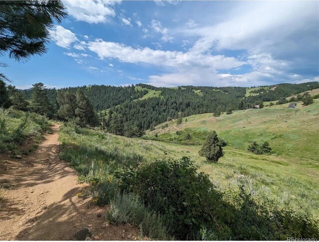 229 Berthoud Way, Golden, CO 80401 - view of mountain background with a heavily wooded area