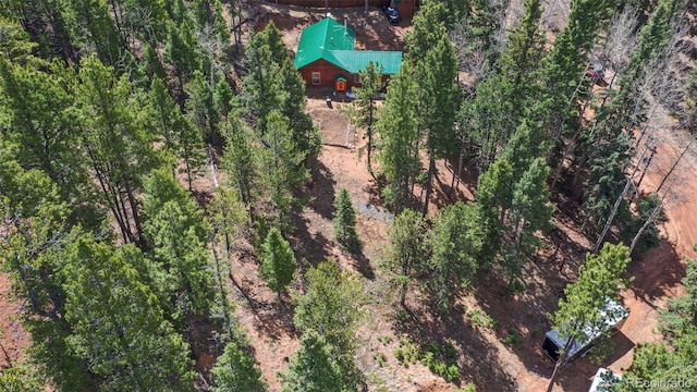 155 Squilchuck Trl, Woodland Park, CO 80863 - drone / aerial view