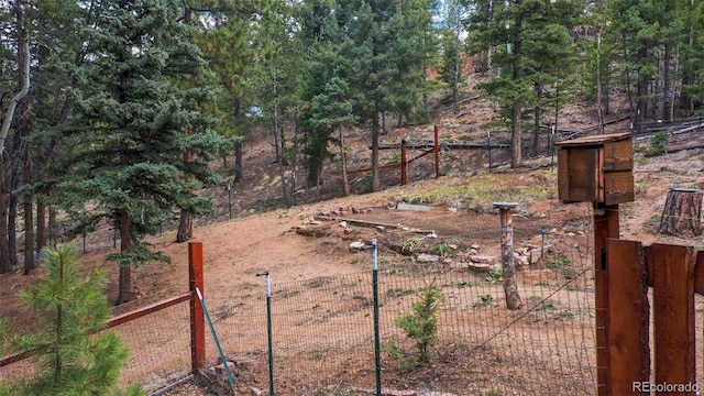 155 Squilchuck Trl, Woodland Park, CO 80863 - view of yard featuring fence