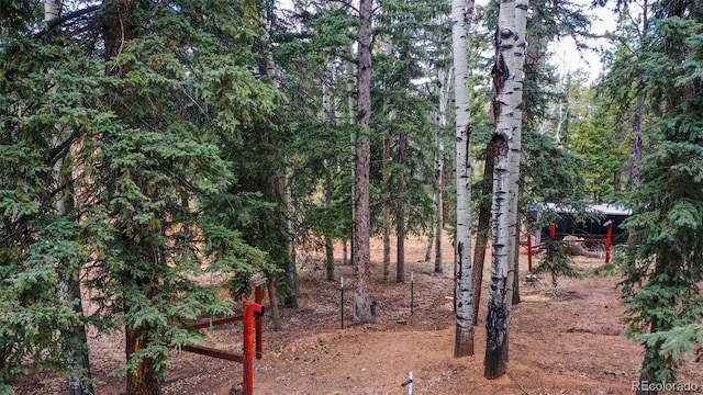 155 Squilchuck Trl, Woodland Park, CO 80863 - view of yard