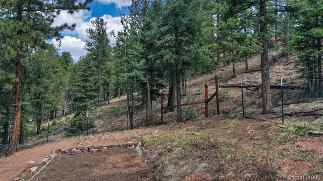155 Squilchuck Trl, Woodland Park, CO 80863 - view of yard with fence