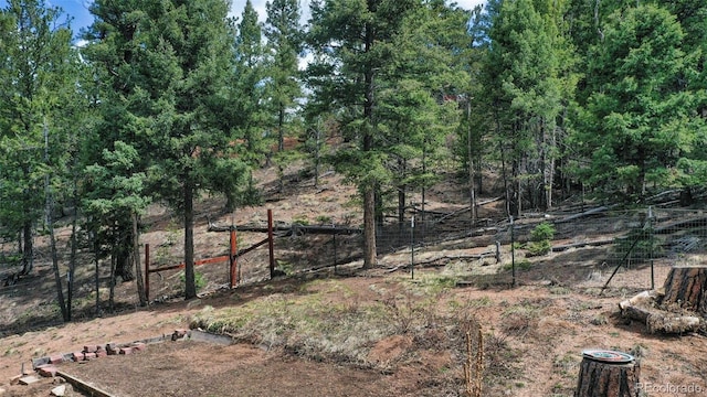 155 Squilchuck Trl, Woodland Park, CO 80863 - view of yard featuring fence