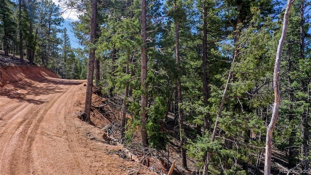 155 Squilchuck Trl, Woodland Park, CO 80863 - view of street with a forest view