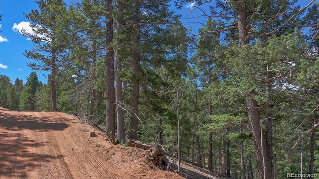 view of nature featuring a view of trees