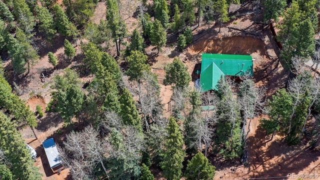 155 Squilchuck Trl, Woodland Park, CO 80863 - drone / aerial view