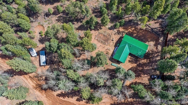 155 Squilchuck Trl, Woodland Park, CO 80863 - drone / aerial view