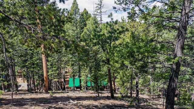 155 Squilchuck Trl, Woodland Park, CO 80863 - view of local wilderness with a forest view
