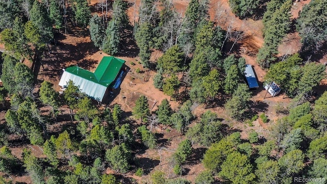 155 Squilchuck Trl, Woodland Park, CO 80863 - birds eye view of property