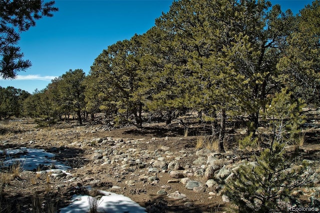 3952 Cheerful Pl, Crestone, CO 81131