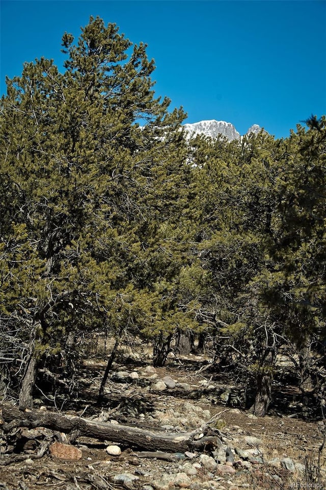 3952 Cheerful Pl, Crestone, CO 81131