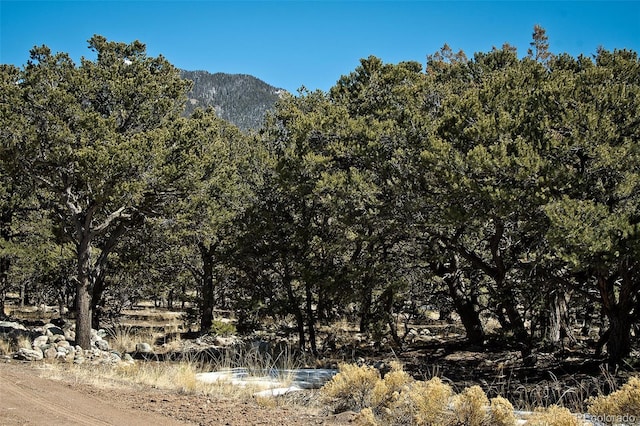 3952 Cheerful Pl, Crestone, CO 81131