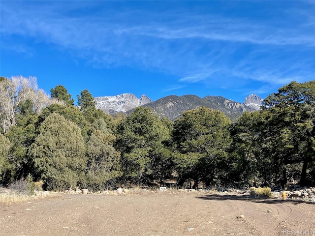 3952 Cheerful Pl, Crestone, CO 81131
