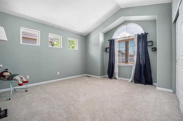 12051 E Lake Cir, Greenwood Village, CO 80111 - miscellaneous room featuring lofted ceiling and carpet