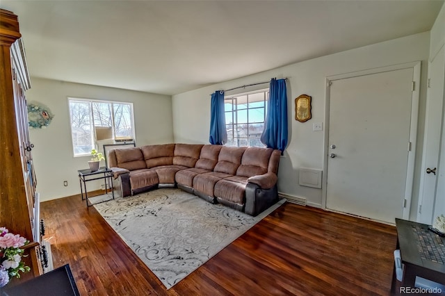 living room featuring wood finished floors