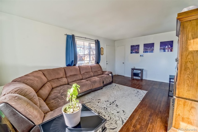 living room with dark wood-type flooring