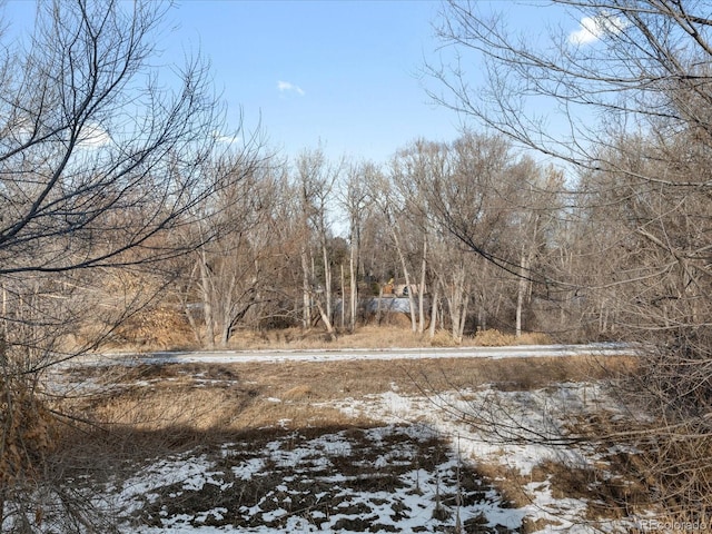 view of yard layered in snow