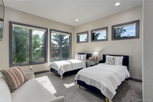 28154 Belle Mont Trl, Conifer, CO 80433 - carpeted bedroom featuring recessed lighting and baseboards